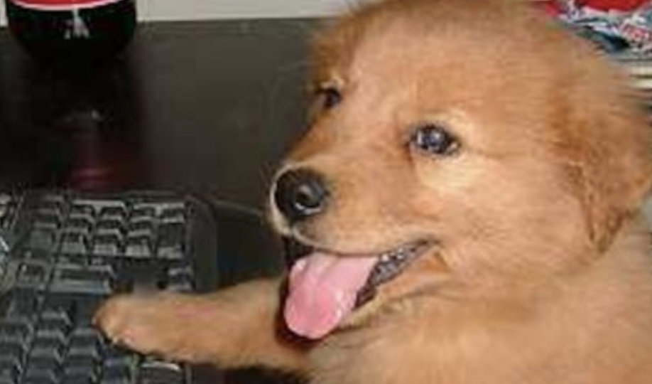 Memetic Monday was Always on Tuesdays